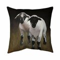 Fondo 20 x 20 in. Two Lambs-Double Sided Print Indoor Pillow FO2773621